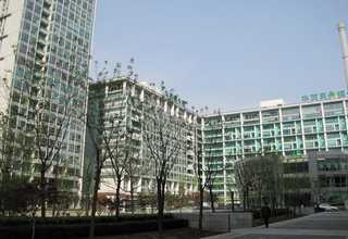 郑州石墨盘根厂家