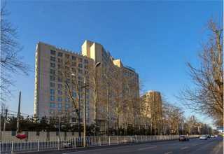 四川散装小零食批发