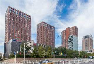 杭州双排球式回转支承费用