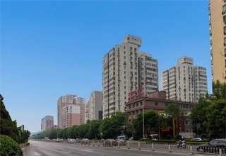 石嘴山全过程网络推广哪个好